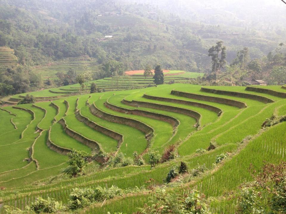 Ngan Nga Bac Ha Hotel Extérieur photo